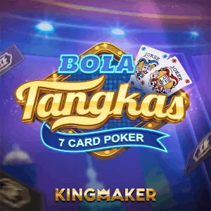 Partner Game 7
